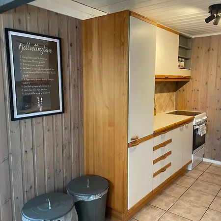 Appartement Peis, Utsikt Og 200 M Til Bakken Beitostolen