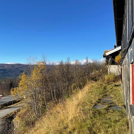 Peis, Utsikt Og 200 M Til Bakken Beitostolen